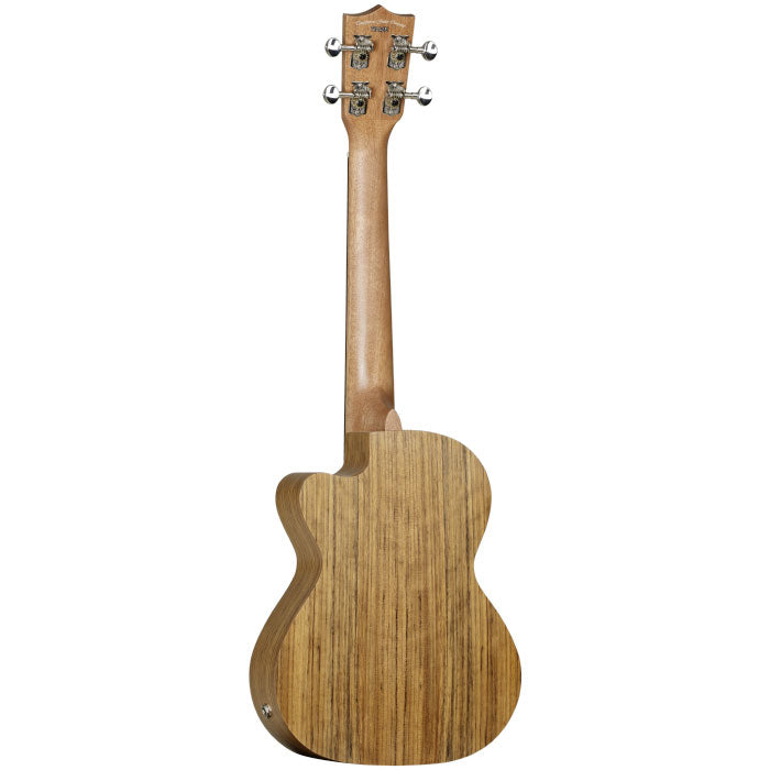 Tanglewood Tiare T14 afbeelding 2