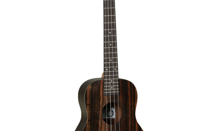 tanglewood - Tiare T19