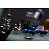 Warm Audio - WA87R2 - Wa-87 R2 Microphone